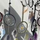 제주동여자중학교 이미지