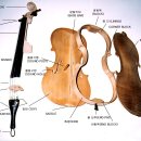 바이올린 이미지