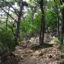 춘천호반(삼악산) 티스토리