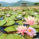 상리농장 이미지