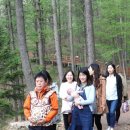 송림나무시장