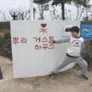 뿌리게스트하우스 이미지