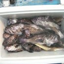 일오삼낚시 이미지