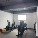 이지복싱 이미지