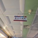 냉감패드 최강자! "동신카페트"에서 만난 여름 필수템 이야기