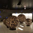 힐메디텍 이미지