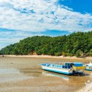 서울 근교 가볼만한 곳, 칼국수 없이도 즐거운 대부도 주말 나들이 :: 안산 흘곶어촌체험마을, 대부바다향기테마파크, 카캉스, 대부도포도 이미지