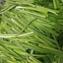 아차골 민박 이미지