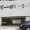 대진대학교 Daum카페