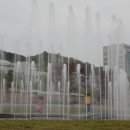 임영약국 이미지