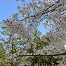 버스정류장(쌍암공원) 이미지