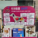 백제 동물약국 이미지