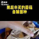 명심농장 이미지