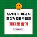 대한메추리 이미지