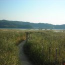 갈대밭 테마여행 ‘서천 갈대밭을 찾아서’ 이미지