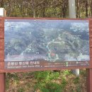 제 54 차 충남 당진 - 은봉산 301 이미지