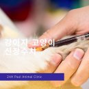 구로종합동물병원 이미지