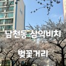삼익비치B상가시장 | 부산벚꽃명소 남천동 벚꽃거리 광안리 삼익비치 벚꽃 4월 4일 오후 실시간 만개 상황 및 사진스팟 꿀팁