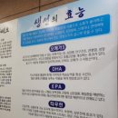 돔수산활어상차림 이미지