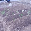 준상농장 이미지