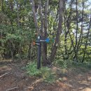 여항산 공영주차장 | [경상남도 함안]10월 여항산 등산 후기/1코스~3코스 추천/중도포기