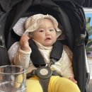 제주파도소리 이미지