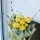 에코자인 이미지