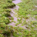 이동(내동) 마을회관 이미지