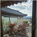 경주조양펜션