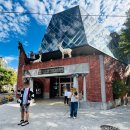 사)무지개가족 | 타이중 일일투어 - 일월담과 무지개마을, 고미습지 투어