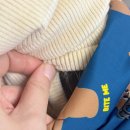 강아지삼촌 | 강아지패딩 뭐입혀? 보더콜리패딩으로 입혀본 바잇미 더블히트 리뷰