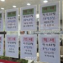 리얼부동산공인중개사사무소 이미지