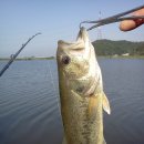 애련농장 이미지