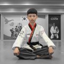 THE 조은 태권도장 이미지