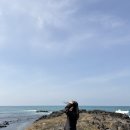 메리제인 | 오니츠카타이거 멕시코66 메리제인 후기💛 착화감 미쳤다 (사이즈 꿀팁)