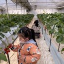 이한농장 이미지