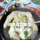 옹가네 | 속초로컬맛집 옹가네식당에서 뜨끈한삼계탕 후기