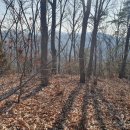 덕솔이네 이미지