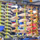 줄포상설시장 이미지