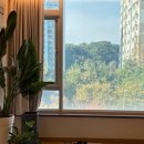 오르아요가 이미지