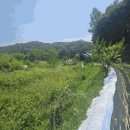 감정2리경로당 이미지