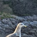 왕양푼이해물짬뽕전문점 | 군산 여행 중 꼭 먹어야 할 음식 BEST 6 호떡부터 해물짬뽕까지