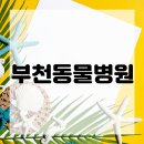 행복한고양이동물병원 이미지