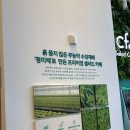 크리스피프레시 광화문점