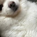 (주)바로메디 이미지