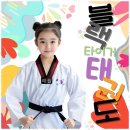 블랙 타이거 태권도장 이미지