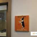 스마트동물병원 이미지