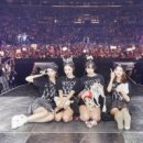 월드 D.C 이미지