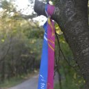 모라산림공원 이미지