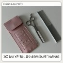 비젤 | 자극 없이 Y존 정리, 음모 숱가위 하나로 가능했어요